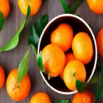 خرید عمده نارنگی کینو جنوب با بهترین شرایط