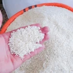 مقایسه قیمت خرید انواع برنج عنبربو در دی ۱۴۰۱