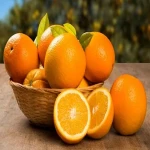 پرتقال تامسون بزرگ؛ درمان فشار خون سرماخوردگی حاوی پروتئین کلسیم phosphorus
