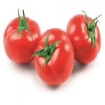 خرید بهترین انواع گوجه فرنگی گلخانه‌ای با قیمت ارزان