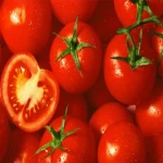 بهترین قیمت خرید گوجه فرنگی در تهران ارومیه مشهد