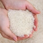 خرید برنج چمپا اعلاء| فروش انواع برنج چمپا اصل با قیمت مناسب