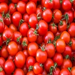خرید و قیمت روز گوجه فرنگی ارگانیک