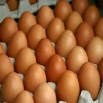 تخم مرغ رسمی دو زرده همراه با توضیحات کامل و آشنایی