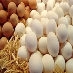 تخم مرغ روز عمده همراه با توضیحات کامل و آشنایی