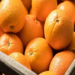 پرتقال محلی مازندران؛ ارگانیک بهبود پوست مو آنتی اکسیدان والنسیا هاملین