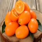 مرجع قیمت انواع پرتقال کوچک + خرید ارزان