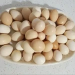 لیست قیمت تخم مرغ محلی گیلان به صورت عمده و با صرفه