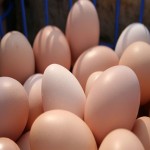 تخم مرغ محلی کرج همراه با توضیحات کامل و آشنایی