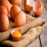 راهنمای خرید تخم مرغ محلی کرمان با شرایط ویژه و قیمت استثنایی