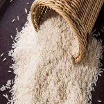 لیست قیمت برنج هاشمی گیلان رشت به صورت عمده و با صرفه