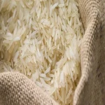 برنج دم سیاه اعلا آشنایی صفر تا صد قیمت خرید عمده