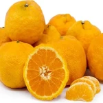 راهنمای خرید نارنگی انشو با شرایط ویژه و قیمت استثنایی