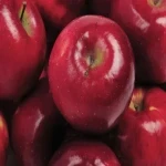 مرجع قیمت انواع سیب درختی + خرید ارزان