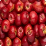 لیست قیمت سیب گالا دماوند به صورت عمده و با صرفه