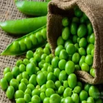 نخود سبز پلو | قیمت خرید عمده و خرده