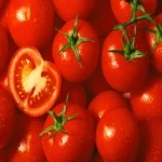 گوجه فرنگی در عمان؛ گیلاسی زیتونی حاوی اسید آمینه پتاسیم Oman