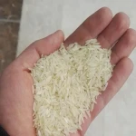 خرید عمده برنج ایرانی فجر سوزنی با بهترین شرایط