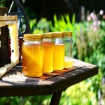 قیمت خرید عمده عسل طبیعی یونجه ارزان و مناسب