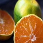 لیست قیمت نارنگی سبز شمال ۱۴۰۱