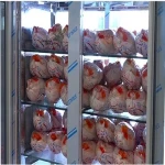 قیمت یخچال ویترینی مرغ