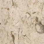 سنگ تراورتن پر طاووسی همراه با توضیحات کامل و آشنایی