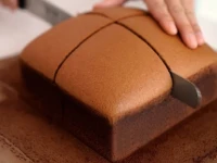 راهنمای خرید کیک شکلاتی اسفنجی با شرایط ویژه و قیمت استثنایی