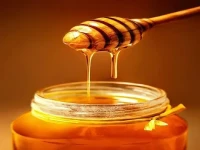عسل طبیعی شاه بلوط همراه با توضیحات کامل و آشنایی