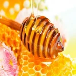 عسل جنگلی مرغوب؛ ضد باکتریایی درمان آکنه آفتاب سوختگی Honey