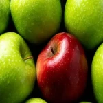 قیمت و خرید سیب درختی صادراتی ایران + فروش ارزان