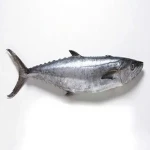 ماهی قباد منبعی غنی از پروتئین و اسیدهای چرب امگا3 کد 25