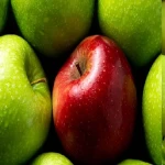 خرید و قیمت انواع سیب درختی ایرانی