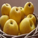 خرید سیب درختی خاصیت + قیمت عالی با کیفیت تضمینی