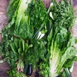 سبزی خوردن عمده؛ ریحان پیاز ضد سرطان ویتامین (A C کاروتنوئید)