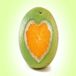 قیمت و خرید پرتقال سبز با مشخصات کامل