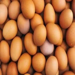 آموزش خرید تخم مرغ محلی کرج صفر تا صد