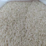 خرید و قیمت برنج شیرودی گرگان
