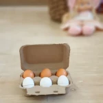 مشخصات شانه تخم مرغ ۶ تایی  و نحوه خرید عمده