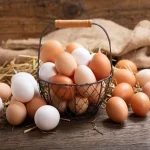 خرید عمده تخم مرغ صادراتی مشهد با بهترین شرایط