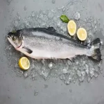 خرید ماهی قزل آلا جنوب + قیمت عالی با کیفیت تضمینی