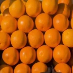 پرتقال صادراتی همراه با توضیحات کامل و آشنایی