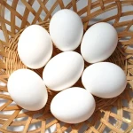 تخم مرغ گرید aa همراه با توضیحات کامل و آشنایی