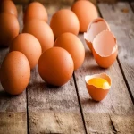 مشخصات تخم مرغ محلی فله و نحوه خرید عمده