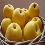 قیمت خرید سیب درختی زرد + تست کیفیت
