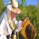 راهنمای خرید لباس سرهمی زنبورداری با شرایط ویژه و قیمت استثنایی