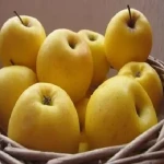 قیمت و خرید انواع سیب درختی سفید خوش طعم باکیفیت