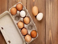 راهنمای خرید شانه تخم مرغ صادراتی با شرایط ویژه و قیمت استثنایی