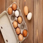 آموزش خرید شانه تخم مرغ مقوایی صفر تا صد