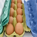 مشخصات شانه تخم مرغ رنگی و نحوه خرید عمده