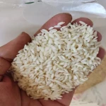 خرید و قیمت انواع برنج سفید ایرانی